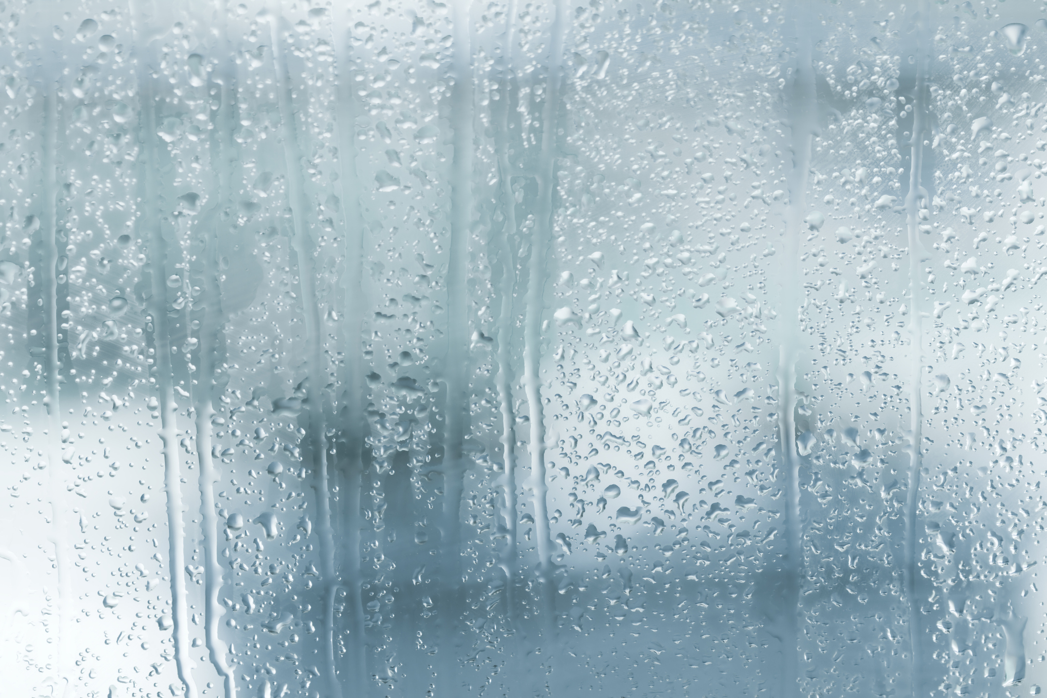 How to Reduce Your Home’s Humidity