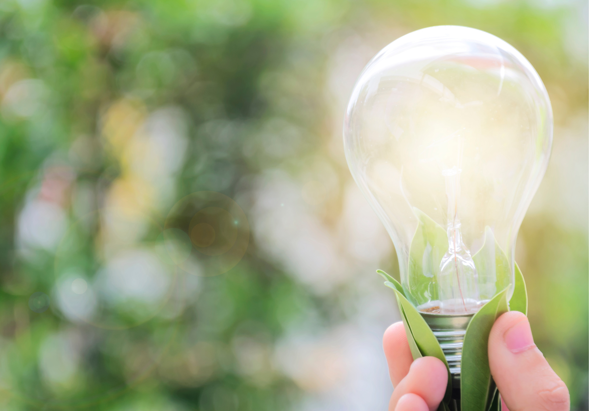 Advantages of Prepaid Electricity for Eco-Conscious People