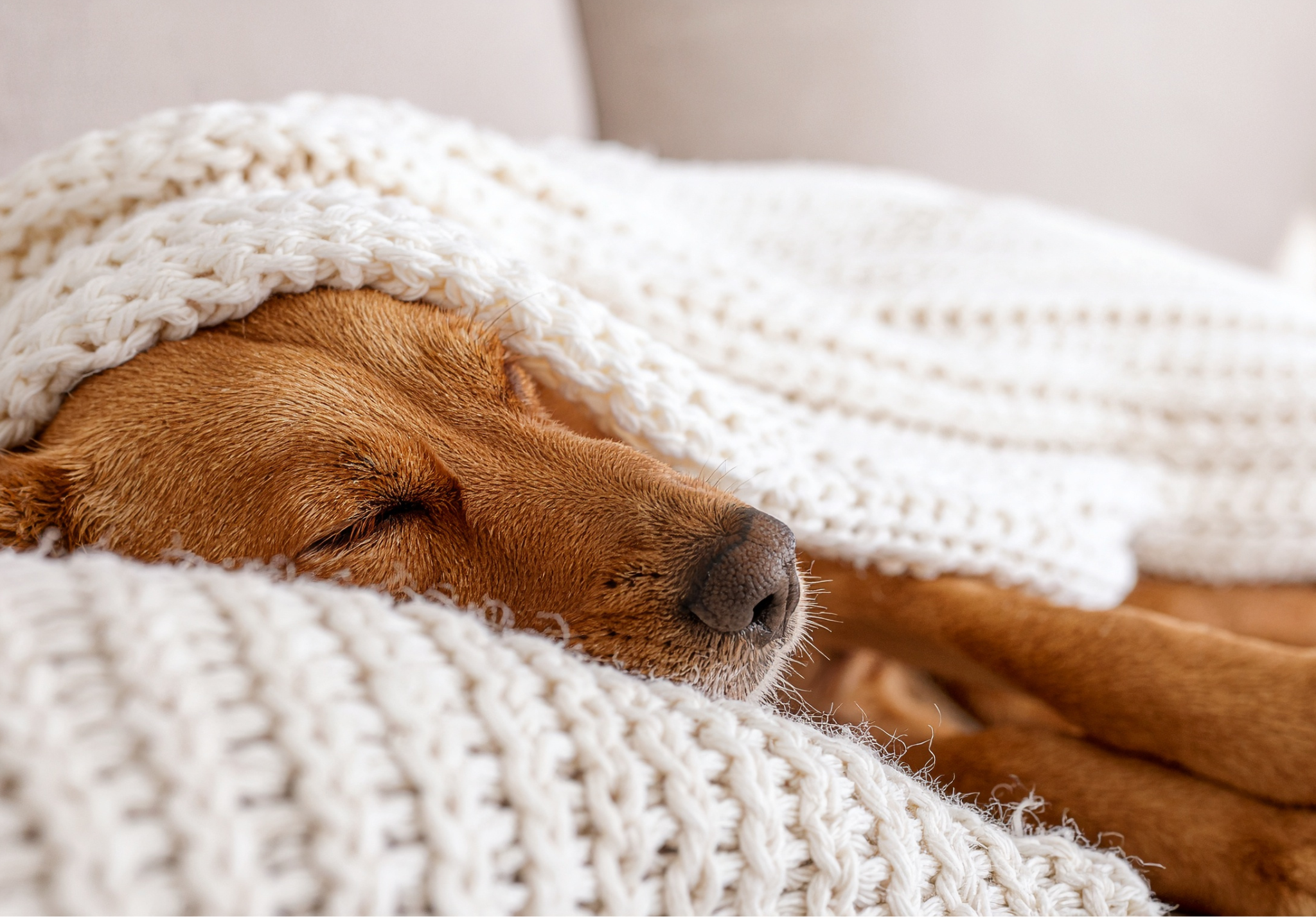 The Hidden Energy Costs of Staying Cozy