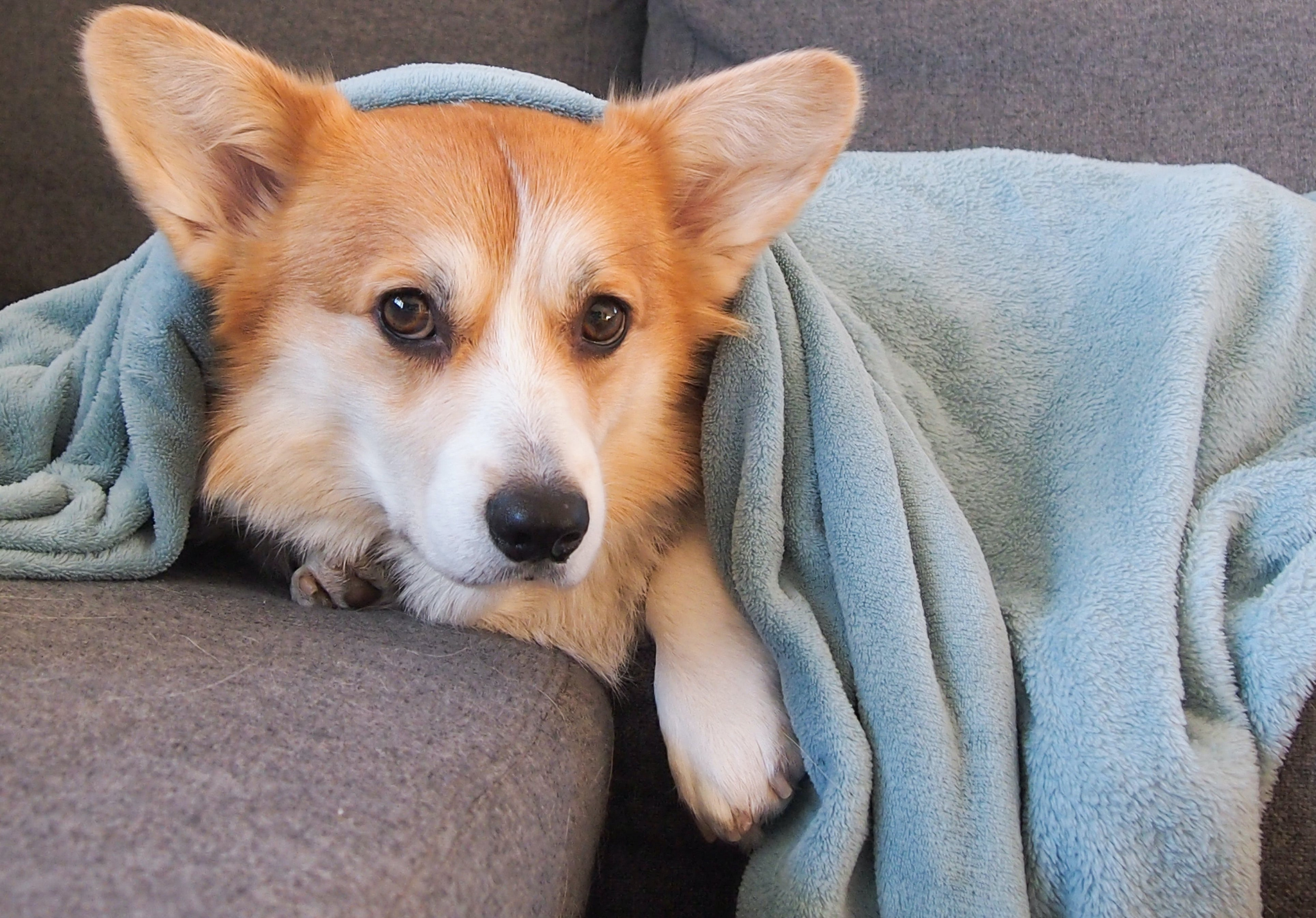 6 Budget-Friendly Ways to Prepare Your Home for Cold Weather
